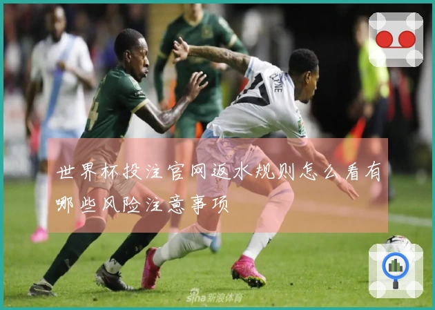 世界杯投注官网返水规则怎么看有哪些风险注意事项